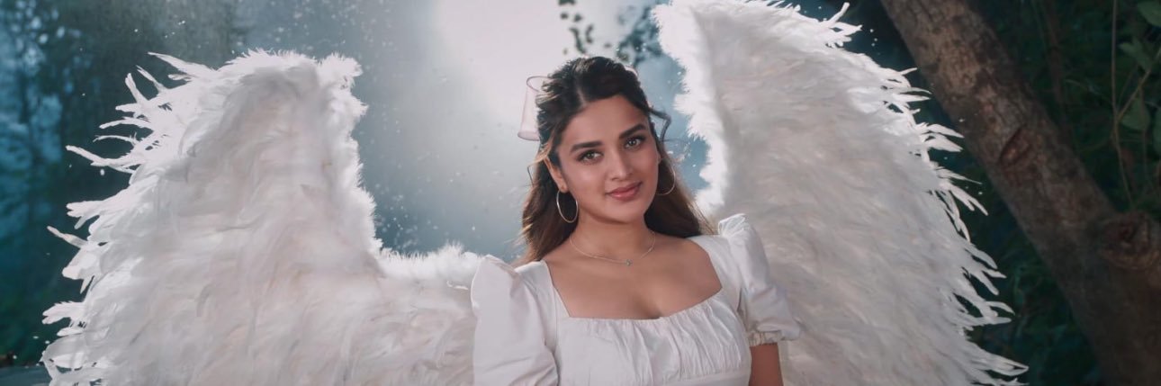 Nidhhi Agerwal's banner