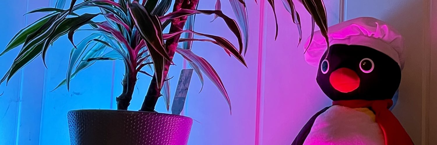 Sebastian Aigner 📫's banner