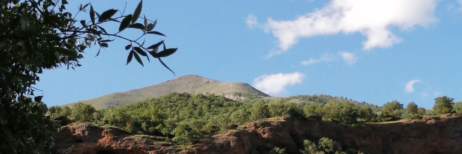 Özge Perihan Hoşoğlu's banner