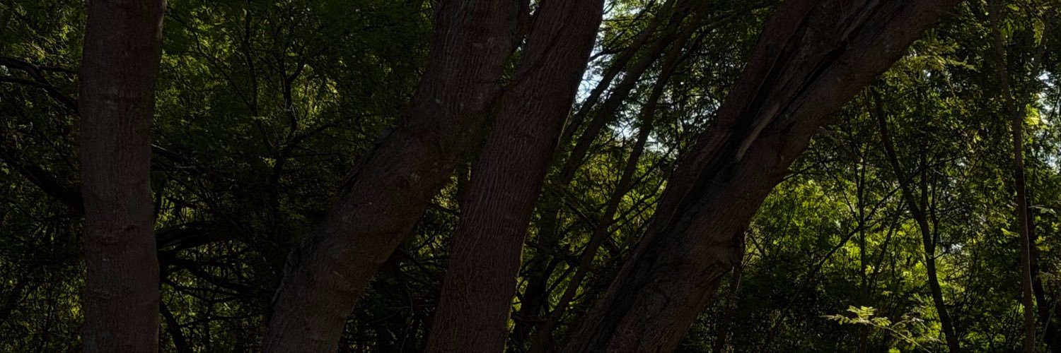 karina's banner