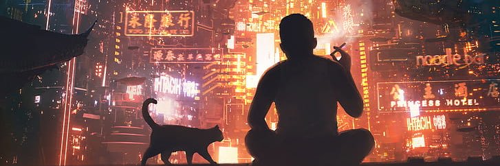 Noctis's banner
