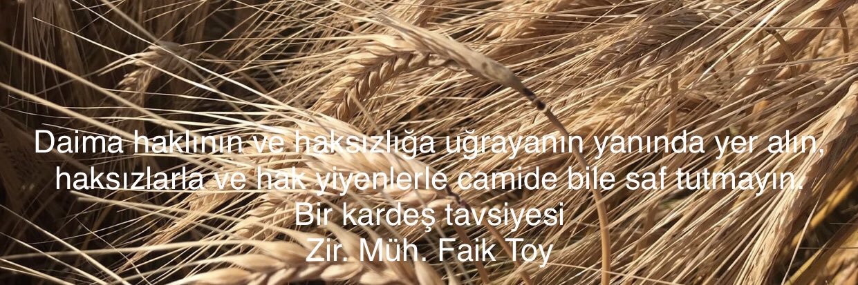 Faik Toy's banner