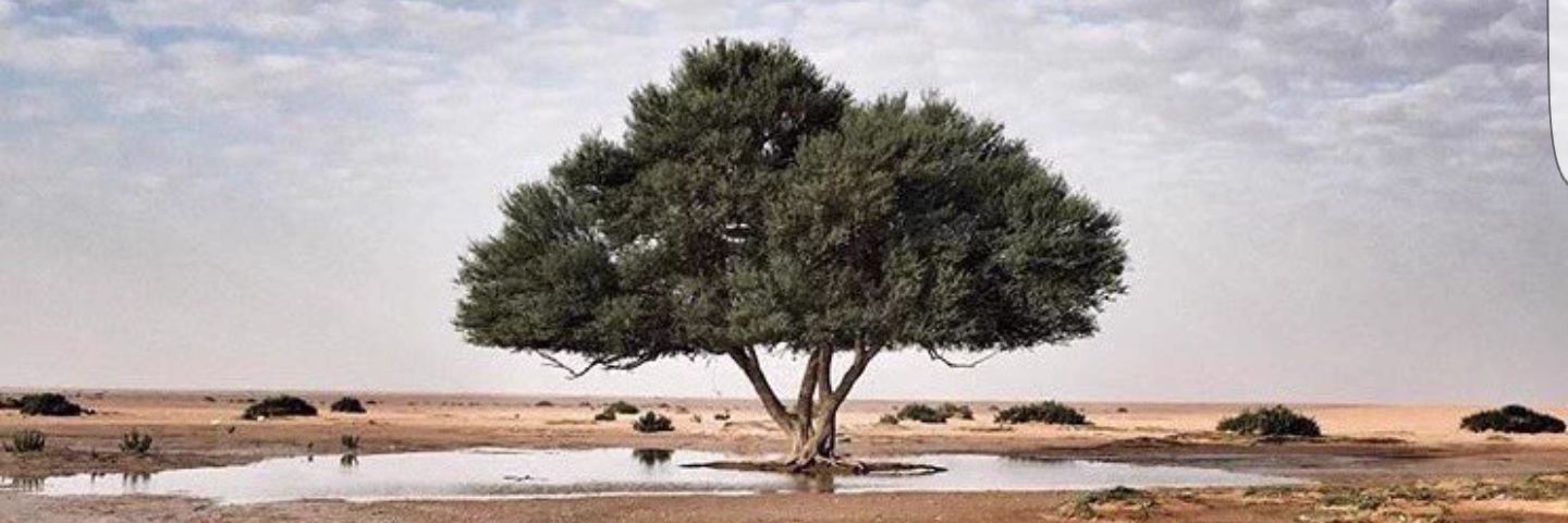 محمد بن ناصر الشويش's banner