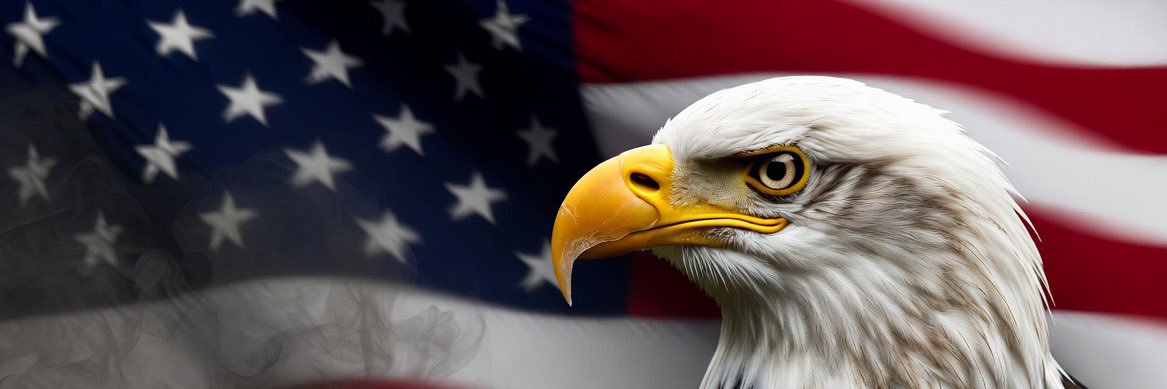 🦅 Eagle Wings 🦅's banner