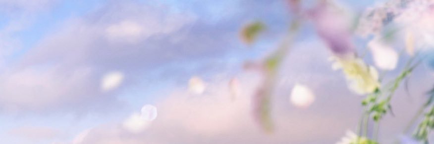 藤井優衣（HzMe）'s banner