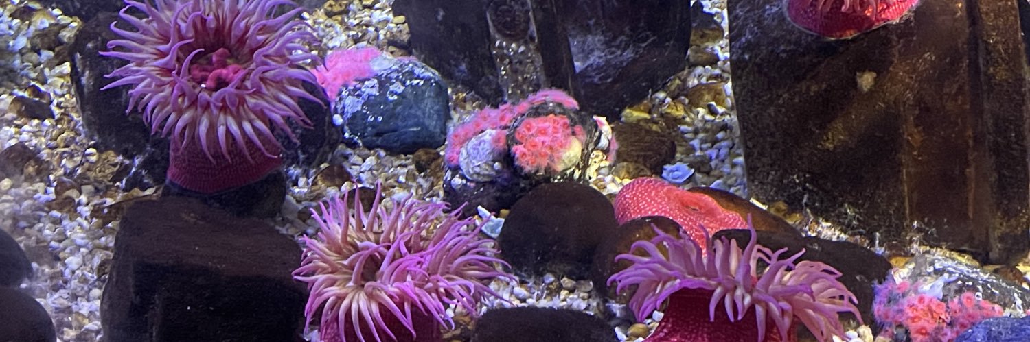 JillyBeanz's banner