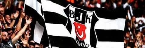 N. DEMİR's banner