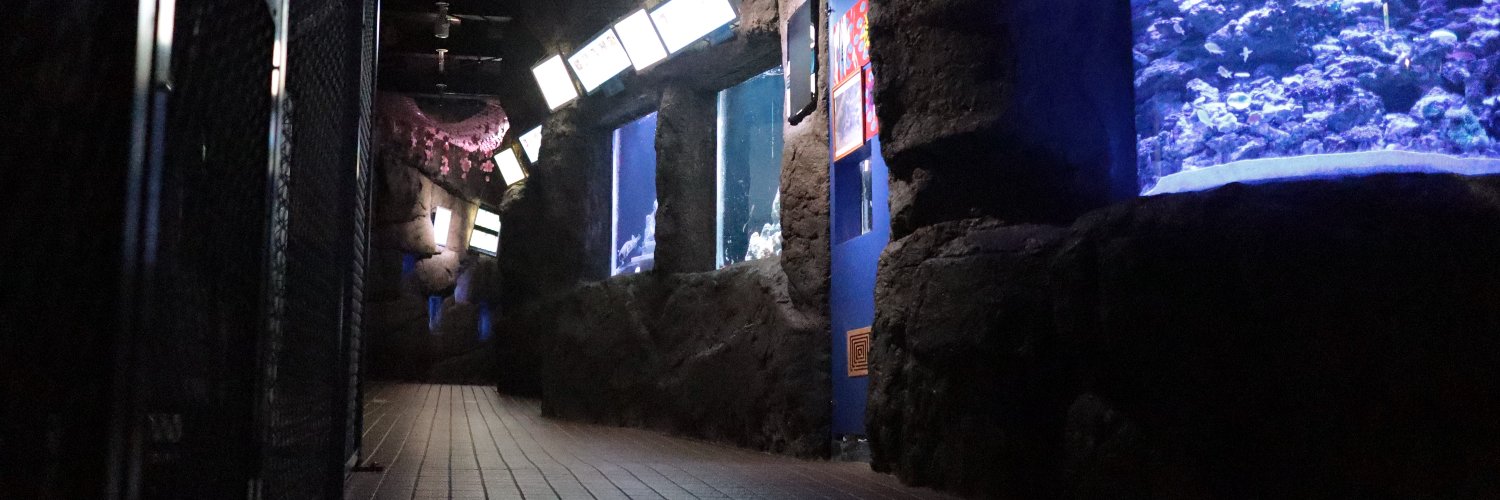 もぐらんぴあ水族館（久慈地下水族科学館）'s banner
