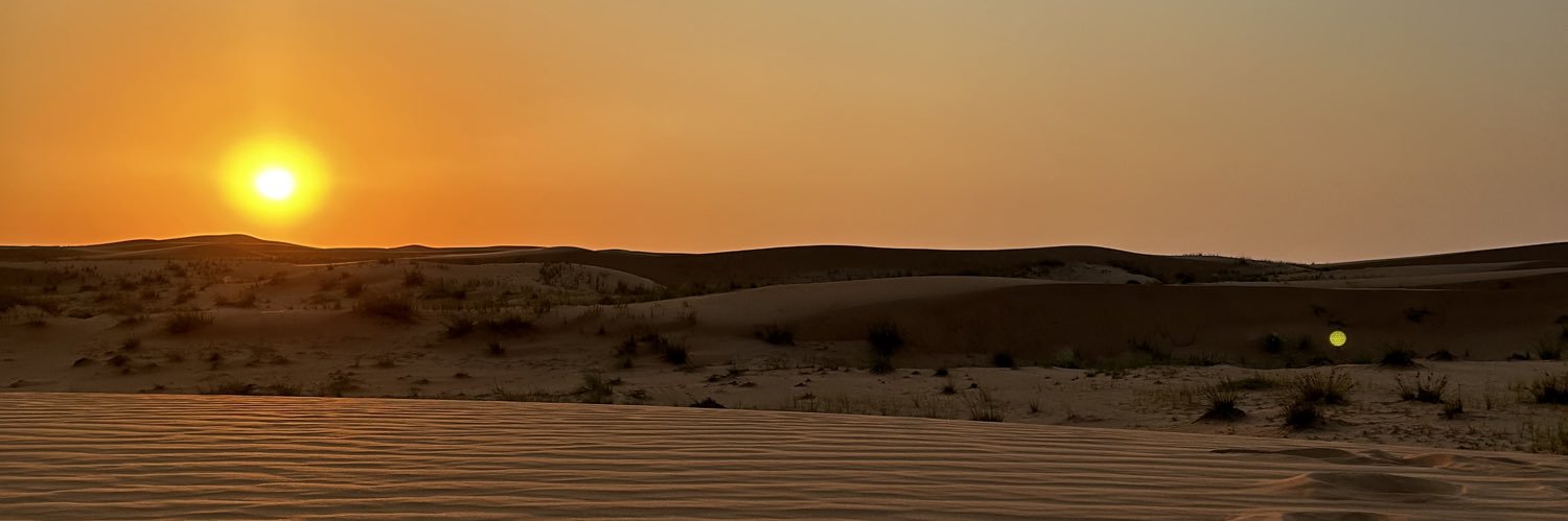 Гном Пельменыч's banner