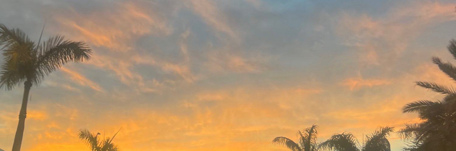 ☼ saraye ☼'s banner