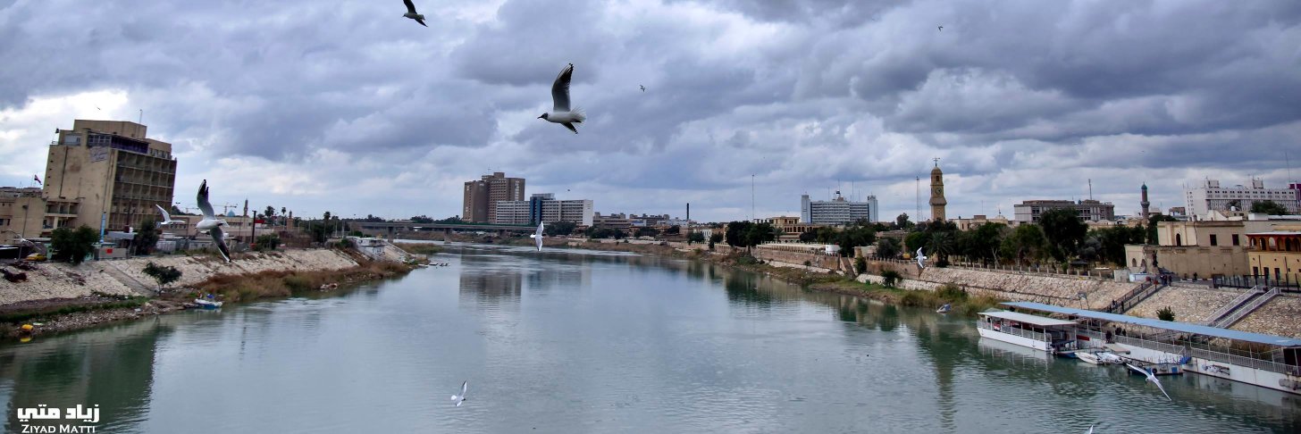 ربيع نادر's banner