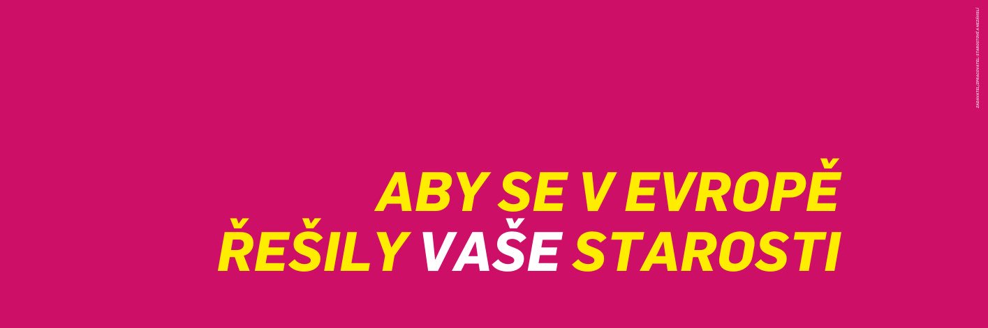 Danuše Nerudová's banner