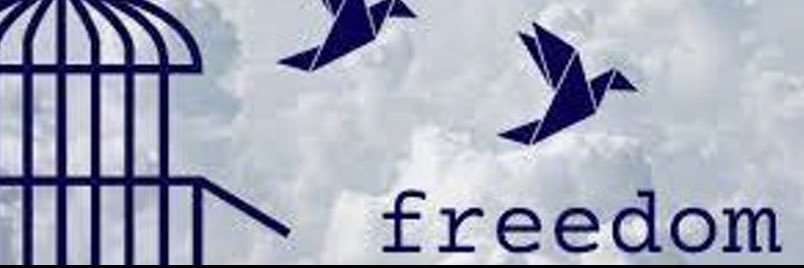 VIQUI ||☆||'s banner