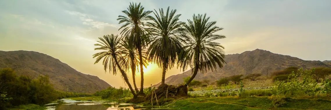 حنان العتيبي's banner