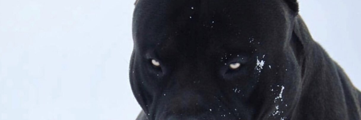 Niccy V ⚡️ GFODT's banner
