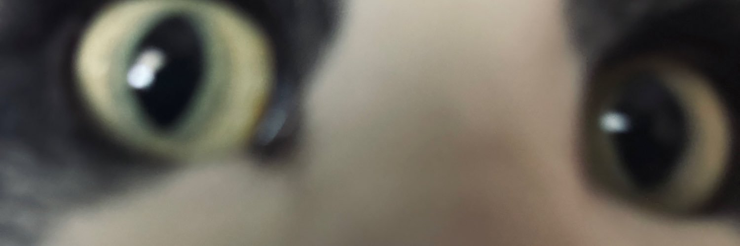 Jo-Dan's banner