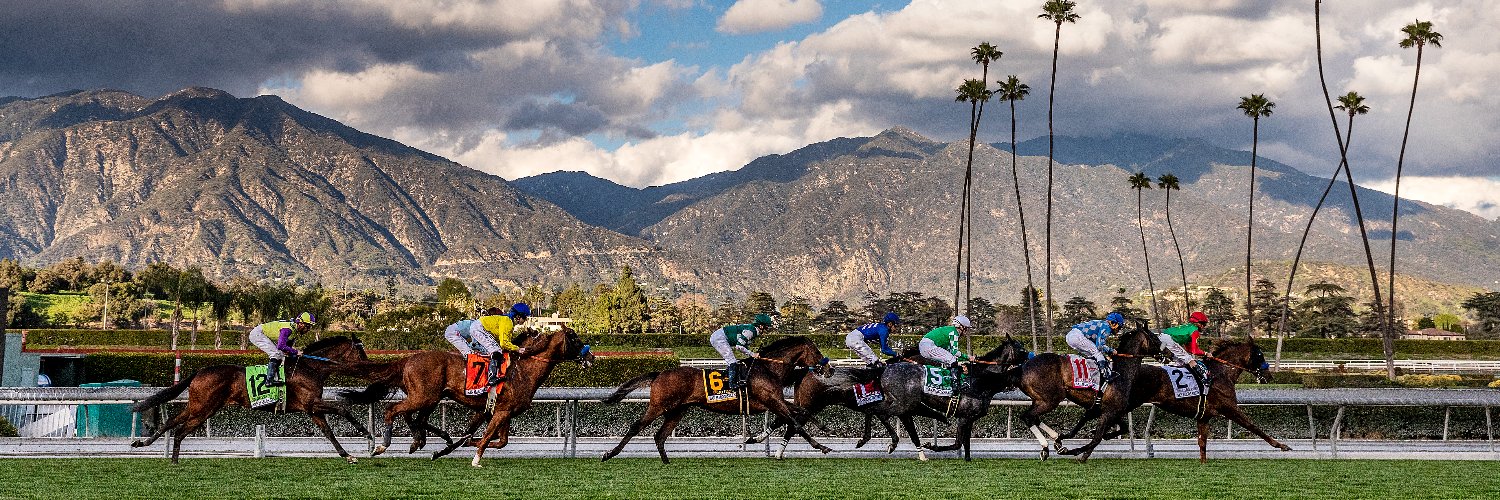 Santa Anita Park's banner