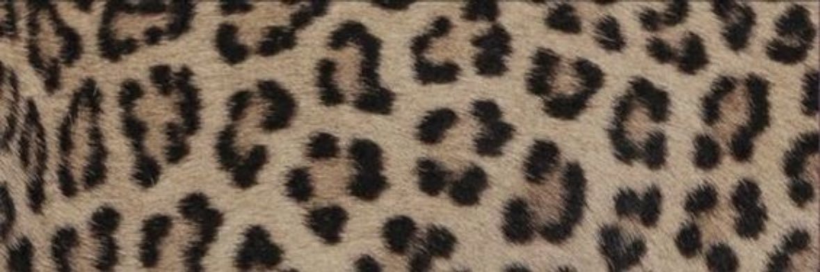 princess jada 🎀 LA's banner