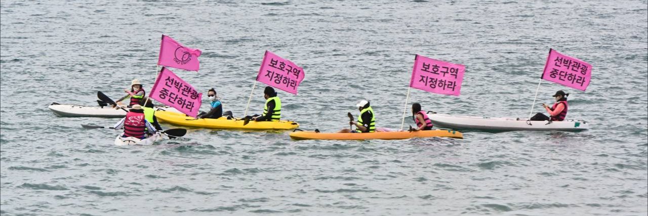 핫핑크돌핀스's banner