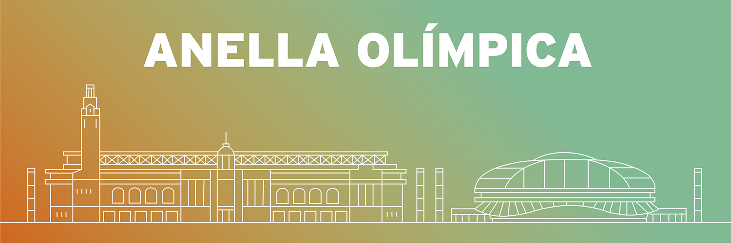 Palau Sant Jordi's banner