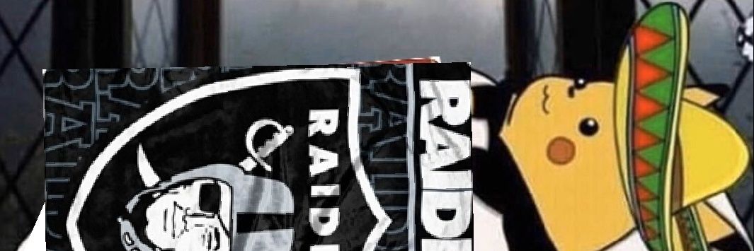 GS Raider's banner