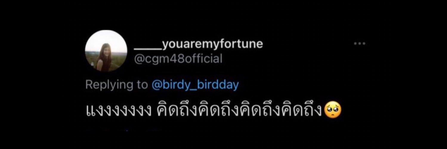 birdy_birdday's banner