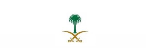 لجين داغستاني's banner