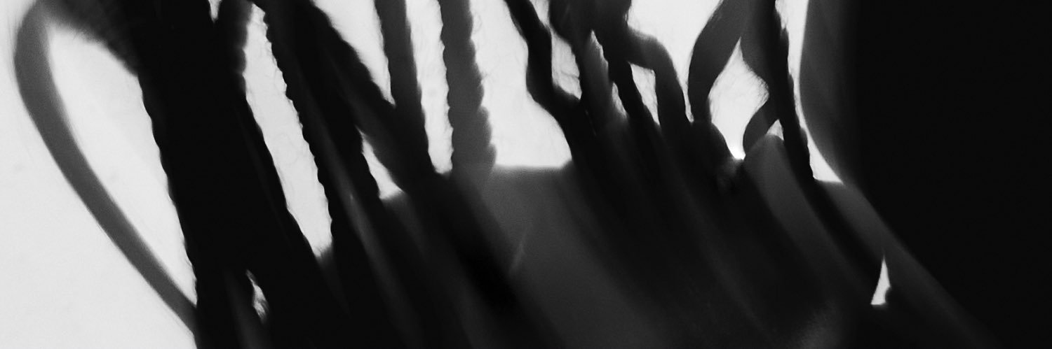 Juste Shani's banner
