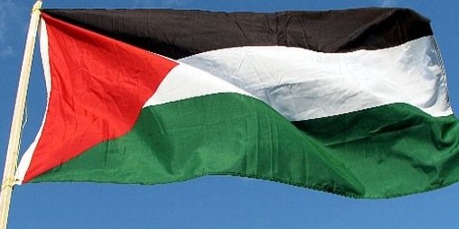 Carmy 🇵🇸's banner
