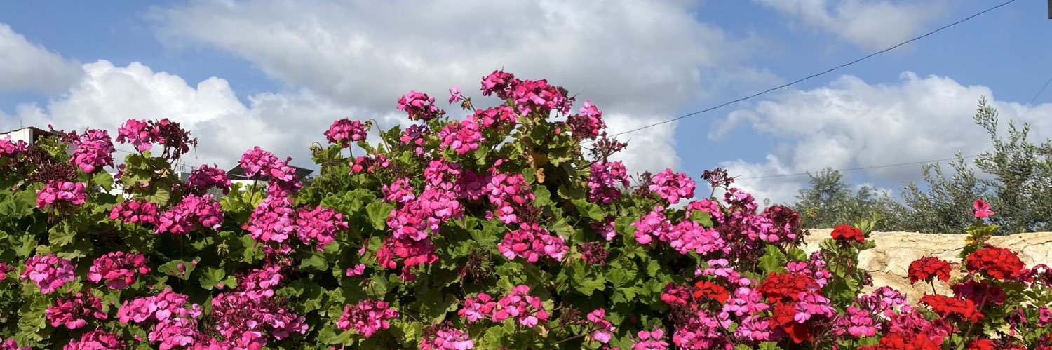 ملاك's banner