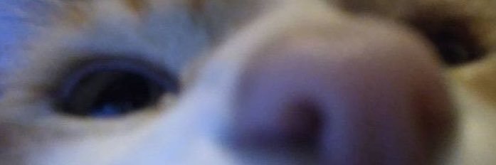 acervo sad gatinhos's banner