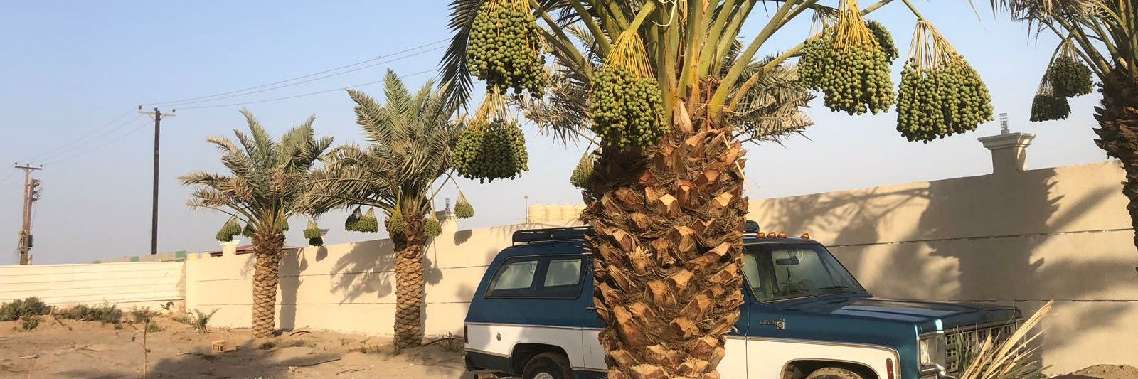المهندس/مساعدسلمان بن يحيى's banner