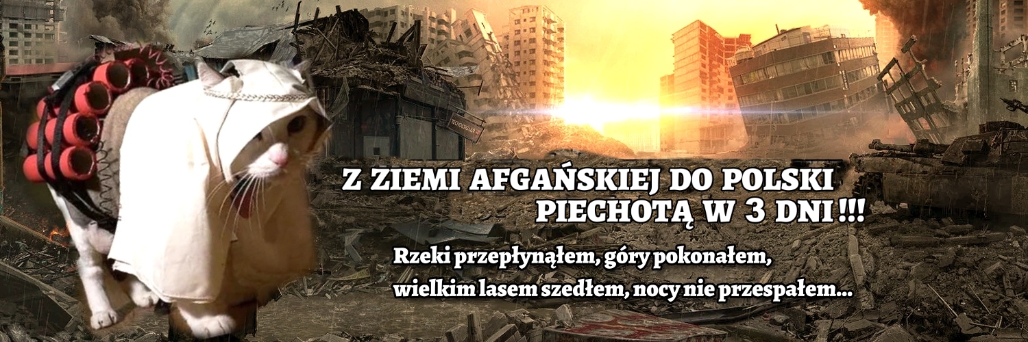 Afgański kot zaczepno-obronny's banner