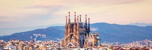 El Gat Negre 🌐's banner