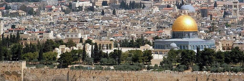 from 04 with love 🔻🇵🇸's banner