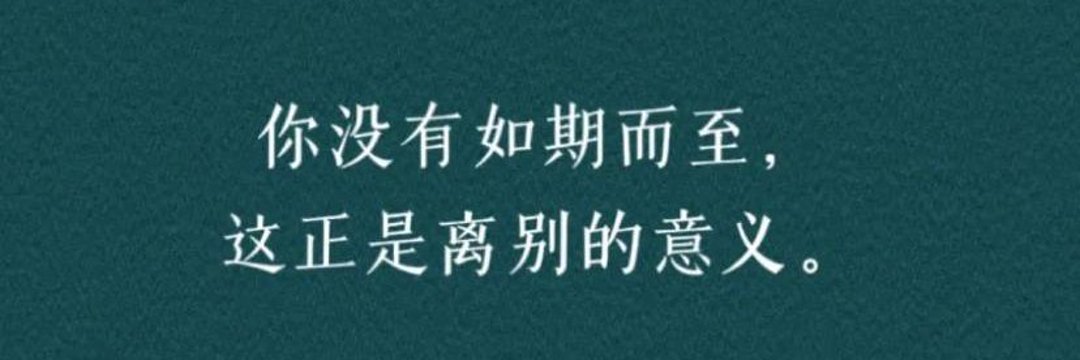 赵叔“风情万种”'s banner
