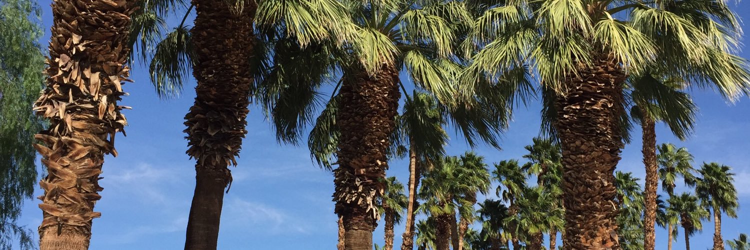 cali chick's banner