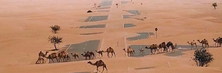 غازي الحارثي | Ghazi's banner