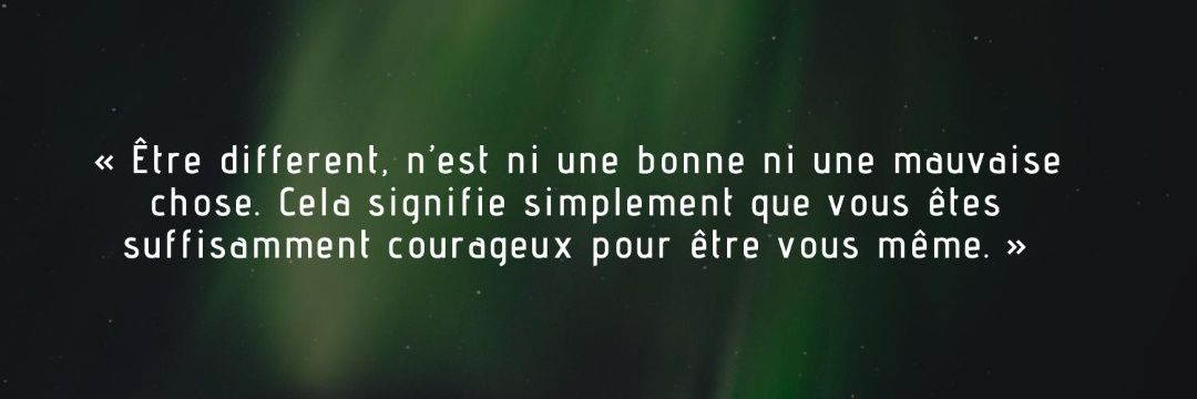 Karim Zeribi's banner
