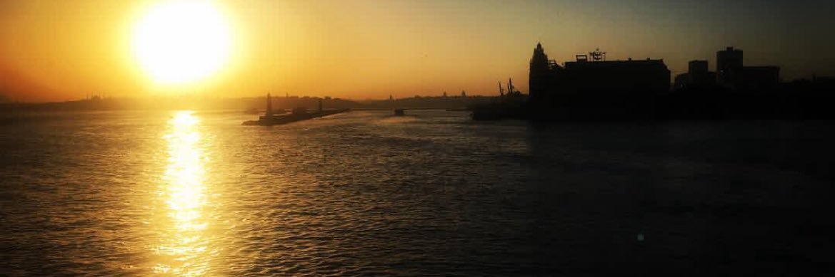 Gülseven Özkan's banner