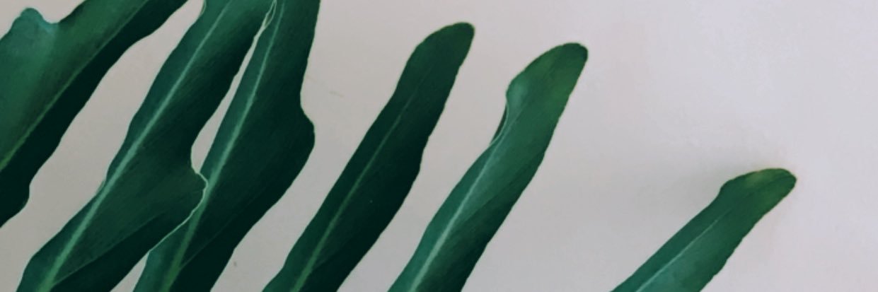 ᴄᴀᴇʟᴜᴍ™'s banner