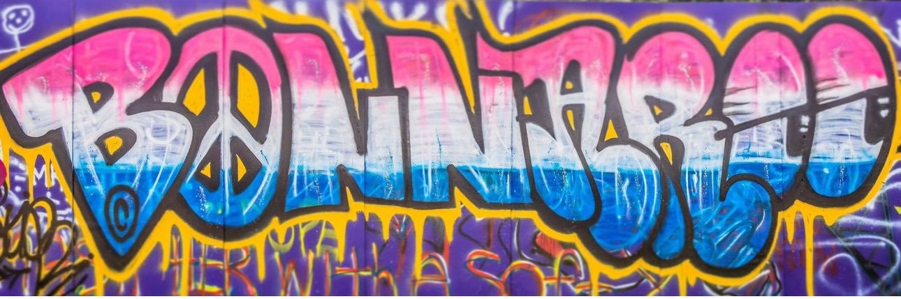 Bonnaroovian's banner