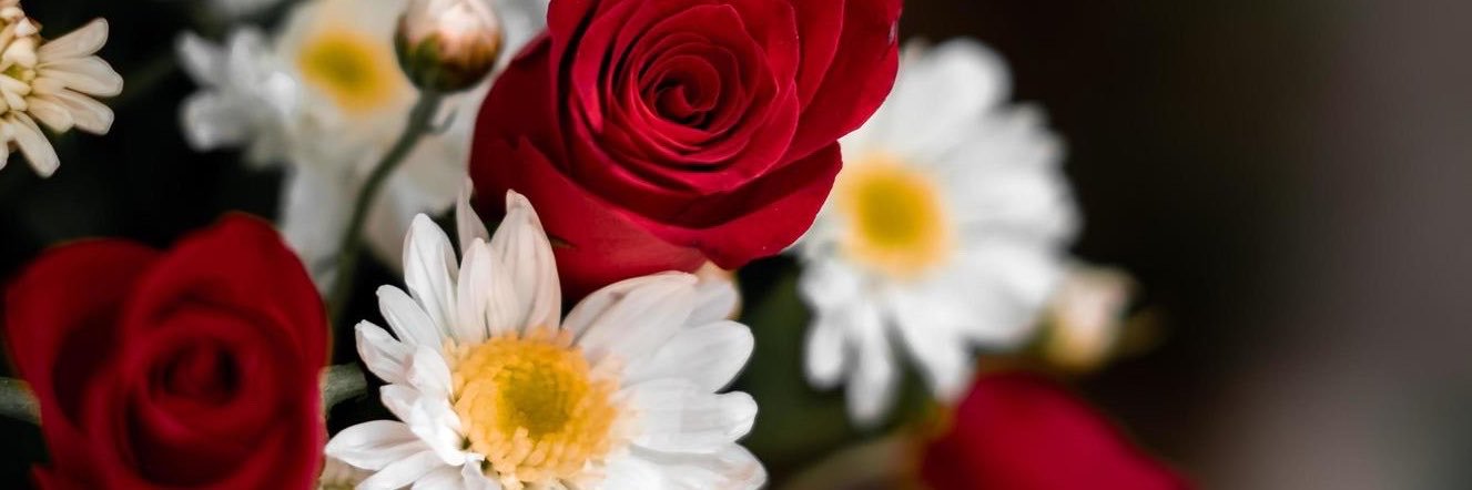 lai 🌹🕊️'s banner