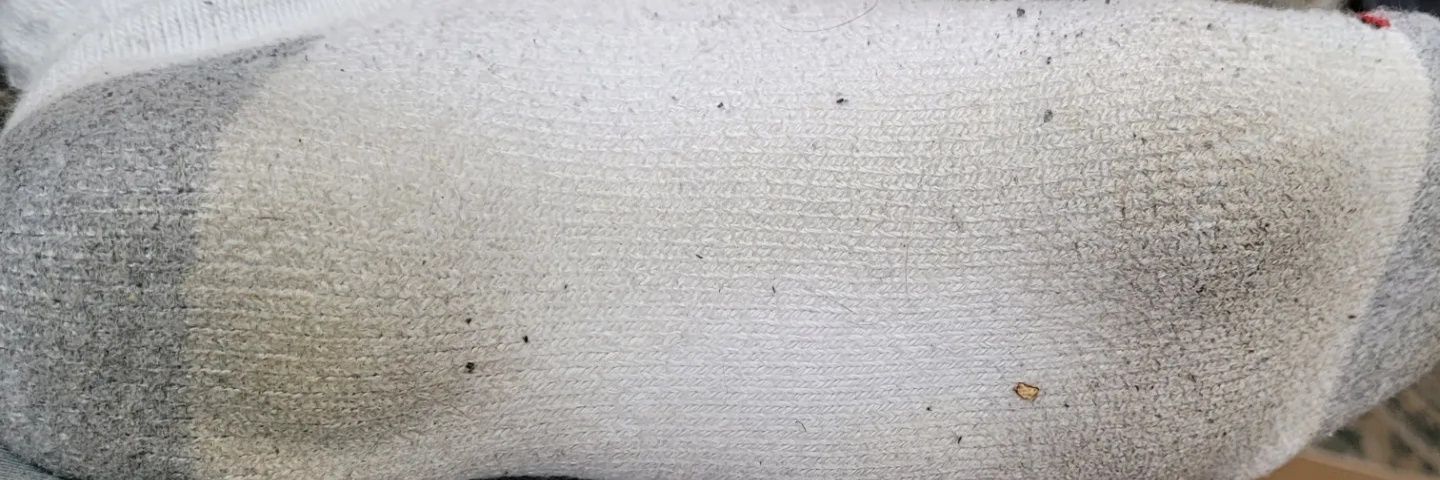 Bro Your Socks Stink's banner