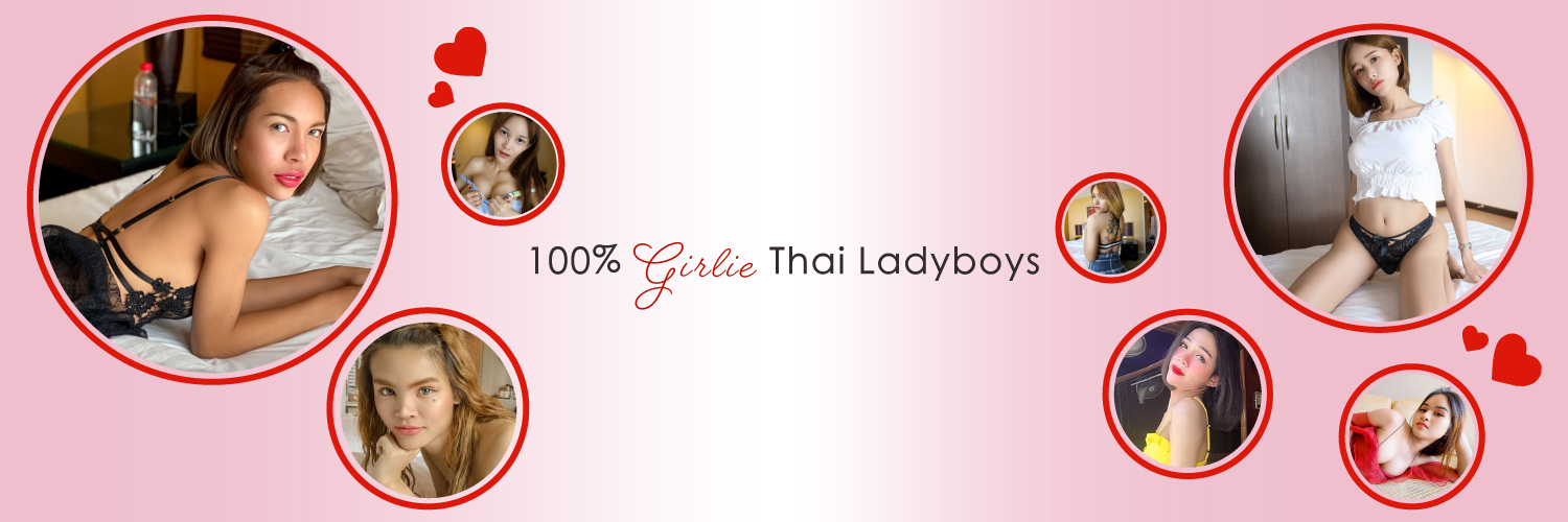 Hello Ladyboy's banner