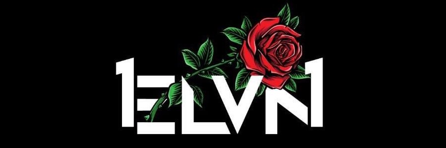 Vonn's banner