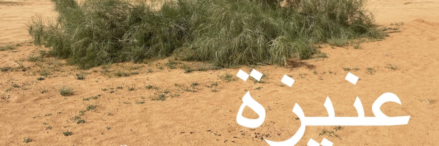 ابو إبراهيم الجلالي's banner