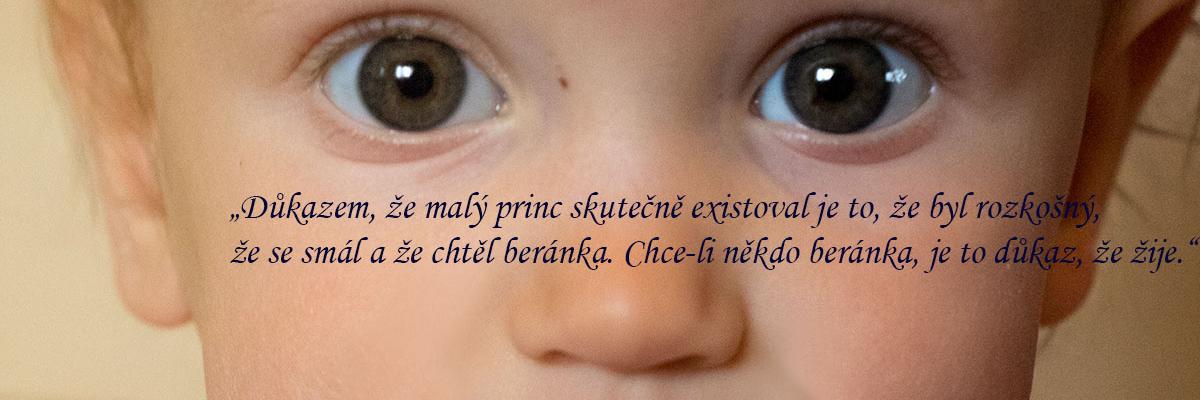 Michaela Kudláčková 🇨🇿 ♌✌️🇺🇦's banner