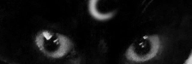 ginwuh 𖤐's banner