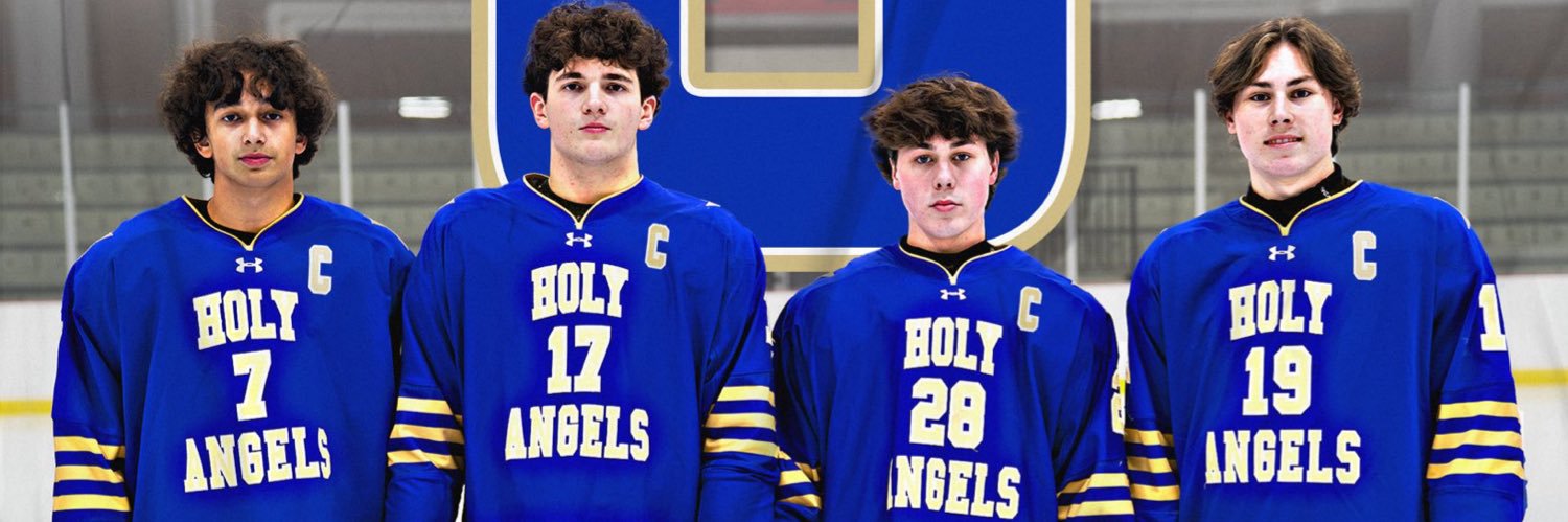 Academy of Holy Angels Boys Hockey's banner